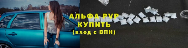 амф Аркадак