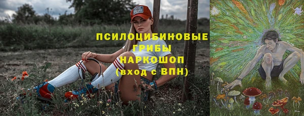 твердый Лабытнанги