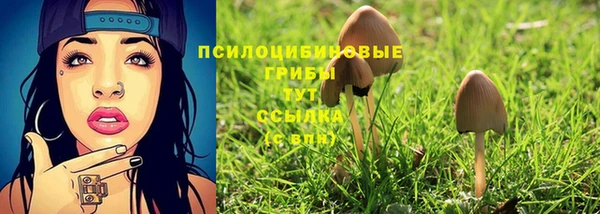 скорость Арсеньев