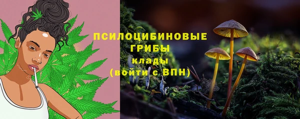скорость Арсеньев