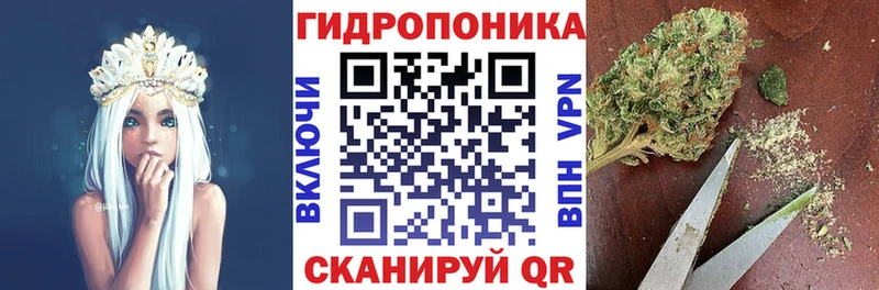 как найти наркотики  Малая Вишера  Шишки марихуана планчик 